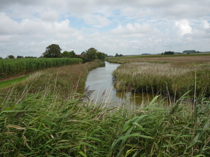 140831 IJZENDIJKE 007