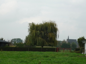 140927 ZOMERGEM  ronsele kerkje