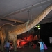 Expo dino's 014