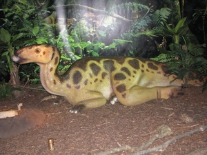 Expo dino's 040
