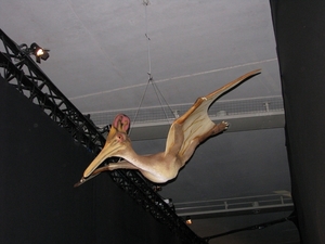 Expo dino's 041