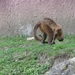 Olmense Zoo 118