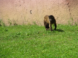 Olmense Zoo 120