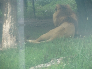 Olmense Zoo 143