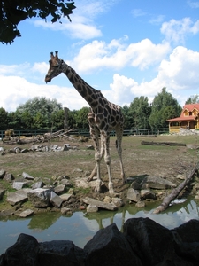 Olmense Zoo 156