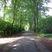 Wandelen in het park van het klooster