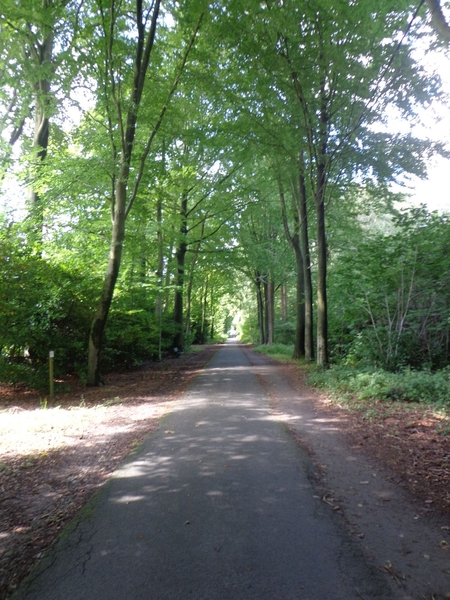 Wandelen in het park van het klooster