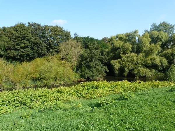 015-Natuurgebied oude-Nete-arm