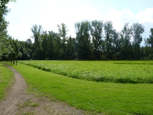 056-Blaasveldbroek-domeinbos in de vallei v.d.Rupel