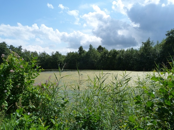 097-Vijvers domein 't Broek Blaasveld-Willebroek