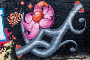 Graffiti 2016IMG_1675-1675