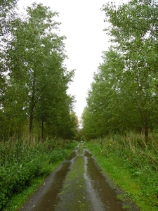 58-Vlassenbroekse natuurreservaat