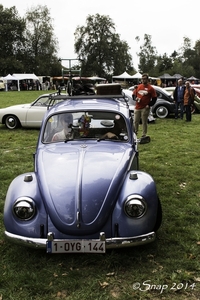 Rockabilly Day 2014IMG_6625-6625