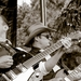 Rockabilly Day 2014IMG_6863-6863
