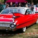 Rockabilly Day 2014IMG_6927-6927