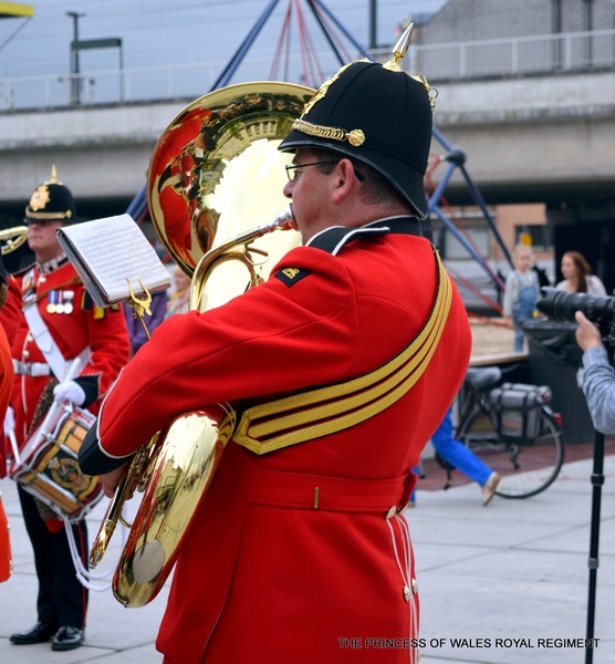 THE PRINCESS OF WALES ROYAL REGIMENT