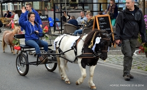 HORSE PARADE- W. 14-18