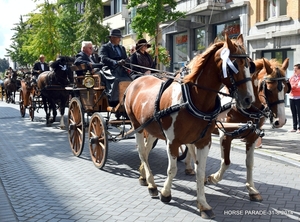 HORSE PARADE- W. 14-18