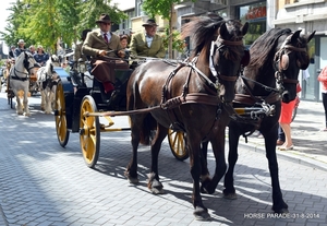 HORSE PARADE- W. 14-18