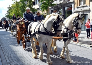 HORSE PARADE- W. 14-18