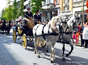 HORSE PARADE- W. 14-18