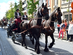 HORSE PARADE- W. 14-18