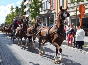 HORSE PARADE- W. 14-18