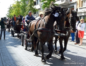 HORSE PARADE- W. 14-18