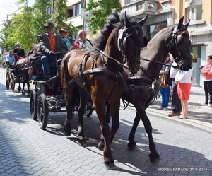 HORSE PARADE- W. 14-18