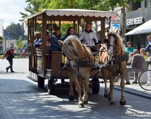 HORSE PARADE- W. 14-18