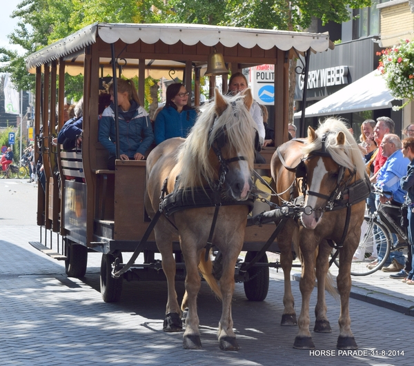 HORSE PARADE- W. 14-18