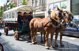 HORSE PARADE- W. 14-18