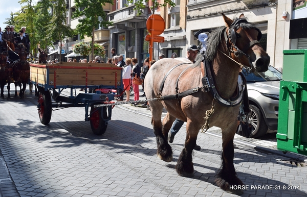 HORSE PARADE- W. 14-18