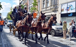 HORSE PARADE- W. 14-18