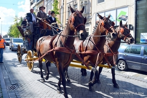 HORSE PARADE- W. 14-18