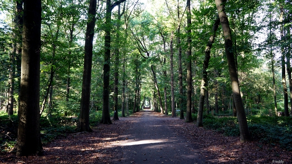Domein-Sterrebos-Rumbeke-1-10-2014-6