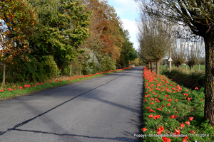 100 jaar1914-2014 Grote Oorlog