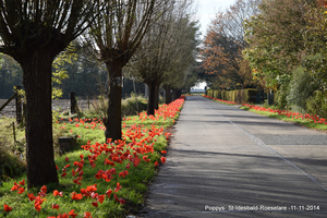 100 jaar1914-2014 Grote Oorlog