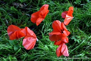 100 jaar1914-2014 Grote Oorlog