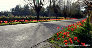 100 jaar1914-2014 Grote Oorlog