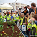 Boerderij op de Markt-Roeselare-22-5-2014