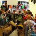 Boerderij op de Markt-Roeselare-22-5-2014