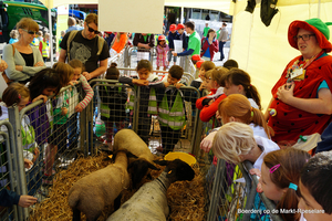 Boerderij op de Markt-Roeselare-22-5-2014