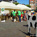 Boerderij op de Markt-Roeselare-22-5-2014