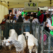 Boerderij op de Markt-Roeselare-22-5-2014