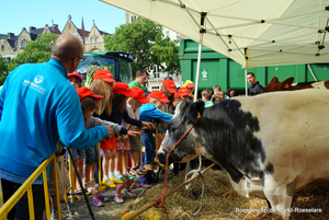 Boerderij op de Markt-Roeselare-22-5-2014