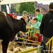 Boerderij op de Markt-Roeselare-22-5-2014