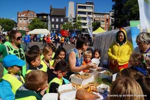 Boerderij op de Markt-Roeselare-22-5-2014