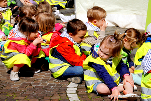 Boerderij op de Markt-Roeselare-22-5-2014