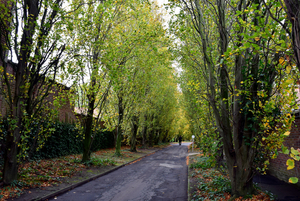 Oud KERKHOF-Blekerijstraat,Roeselare